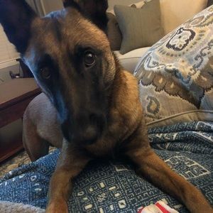 Meet your Posher, Julia